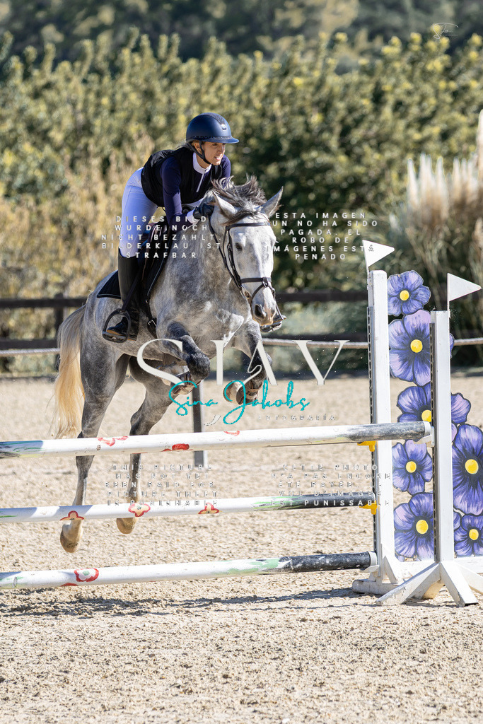 IMG_0072 | s-jay-photography - Realisiert mit Pictrs.com