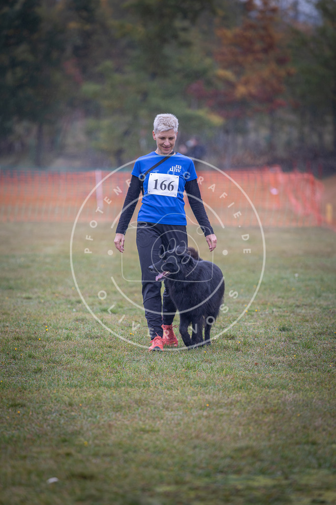 Pfotenfotografie_DV3A8939 | Hundefotografie, Tierfotograf, Pfotenfotografie, Fotoshooting Hund, Hunde Portrait, Hundesport, Hundeportraits, Heideshooting, Hunde, Sportfotograf, Hundefotograf, Turnierhundsport, THS,  - Realisiert mit Pictrs.com