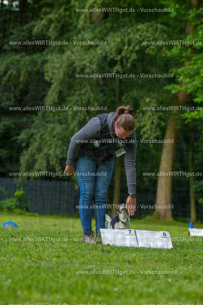 @allesWIRTHgut_Tierfotografie - www.allesWIRTHgut.de - 083044-7R506265 | Professionelle Tierfotografie in Mönchengladbach von Daniel Wirth (allesWIRTHgut). Liebevolle & natürliche Bilder von Hunden & Katzen für unvergessliche Erinnerungen.