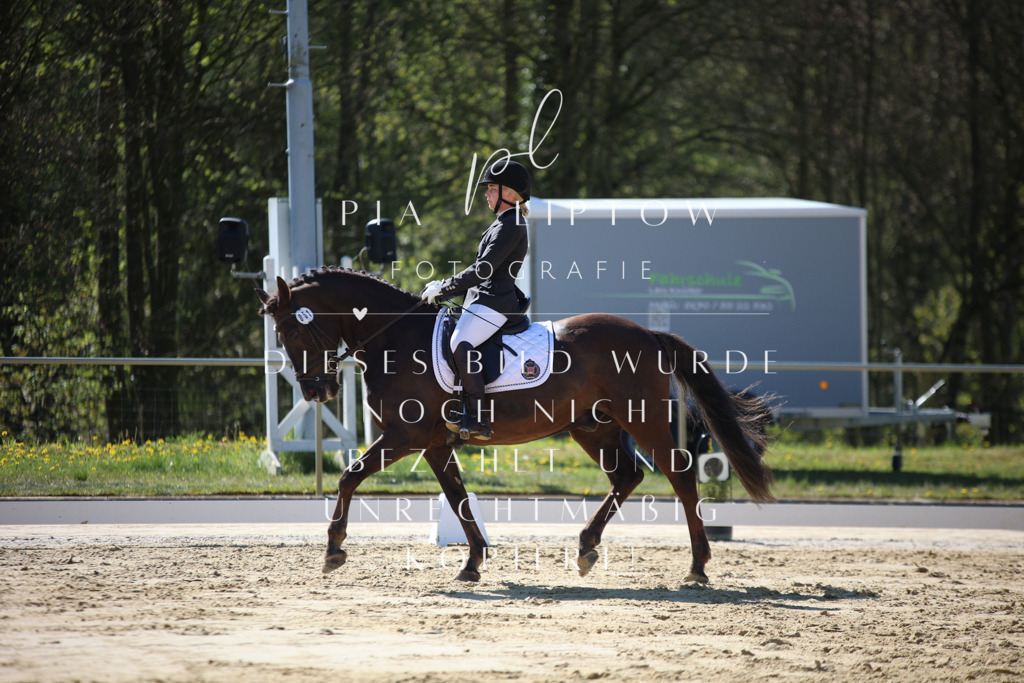 IMGT9540 | pl-fotografie