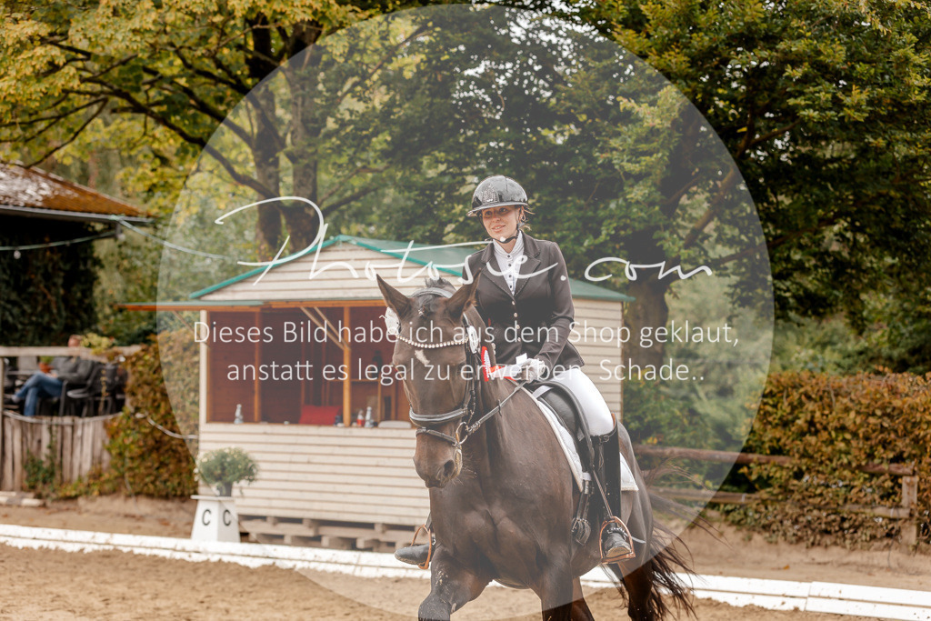 3I6A7990 | Stimmungsvolle Portraits und Reitsportfotografie im Ruhrgebiet und im Münsterland.

Pferdefotografie, Hundefotografie, Tierfotografie, Reportagen, Portraits von Tier und Mensch, Turnierfotografie in Bochum, Recklinghausen, Marl, Haltern am See, Dülmen.. - Realisiert mit Pictrs.com