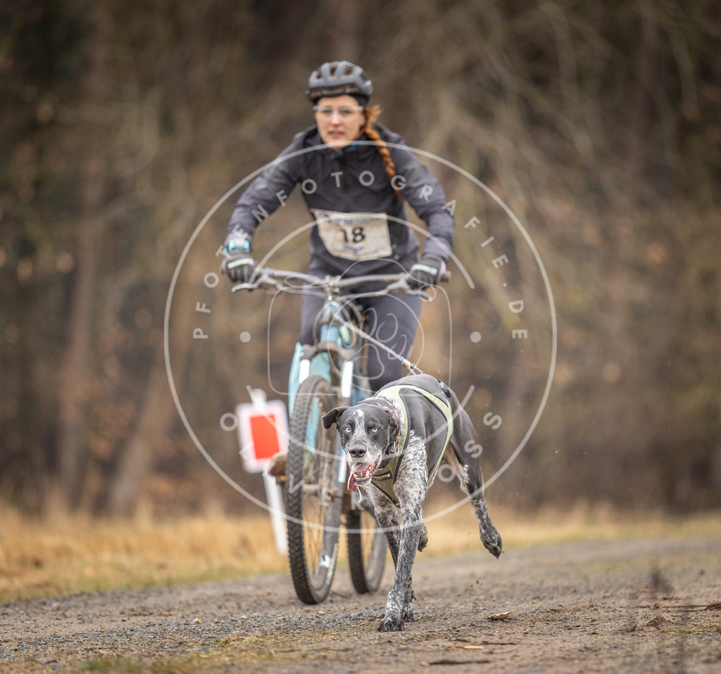 DV3A3213 | Hundefotografie, Tierfotograf, Pfotenfotografie, Fotoshooting Hund, Hunde Portrait, Hundesport, Hundeportraits, Heideshooting, Hunde, Sportfotograf, Hundefotograf, Turnierhundsport, THS,  - Realisiert mit Pictrs.com