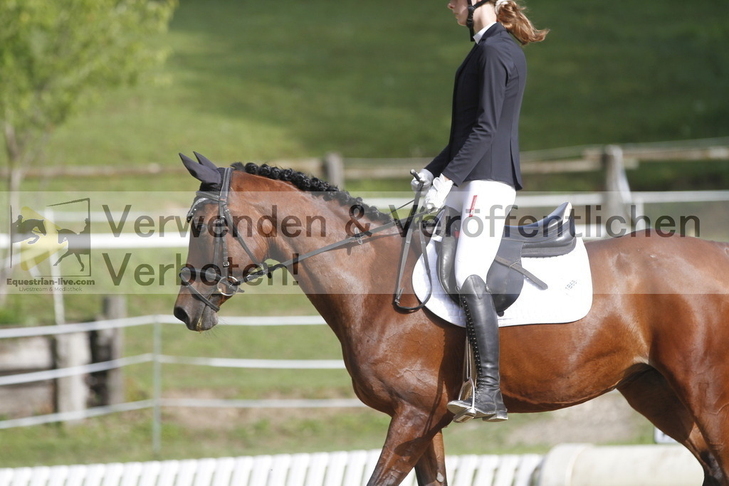 _MG_0095 | equestrian-live-com