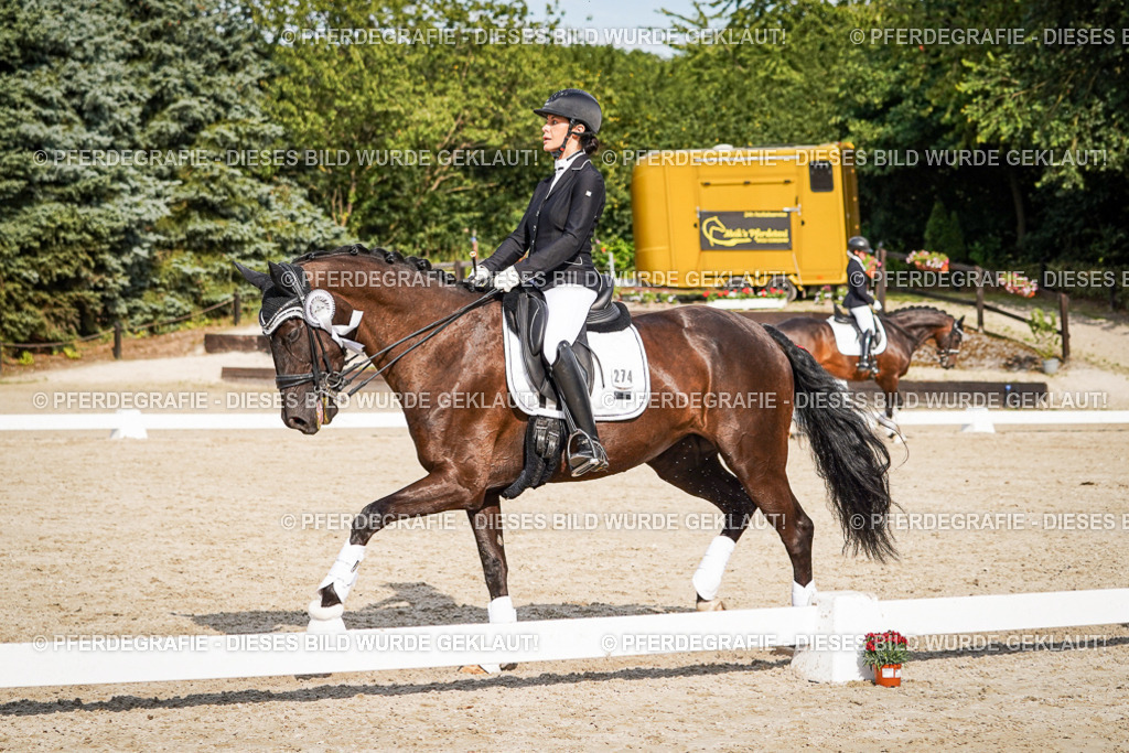 DSC07715 | Pferdegrafie