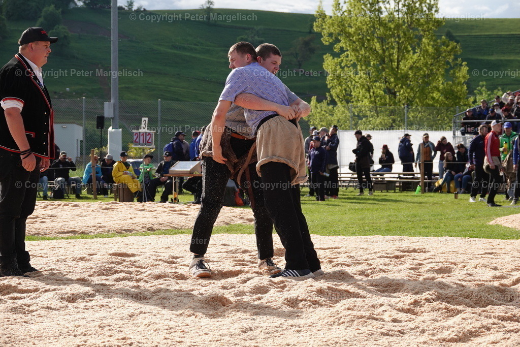 DSC00650 | Schwingen - Realisiert mit Pictrs.com