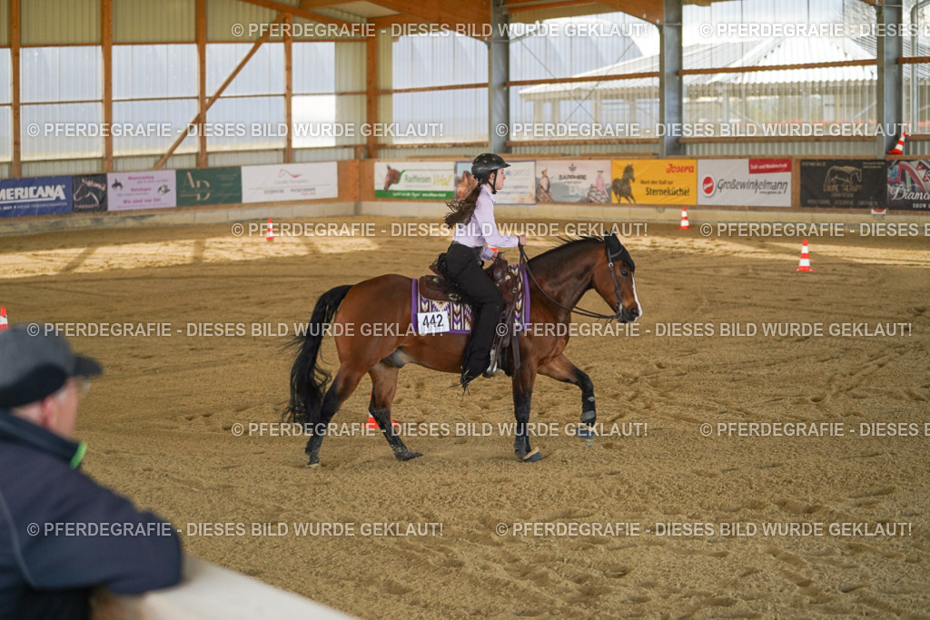 DSC01215 | Pferdegrafie