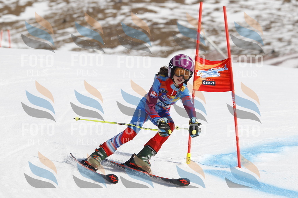 _U3G0076 | holidayphoto