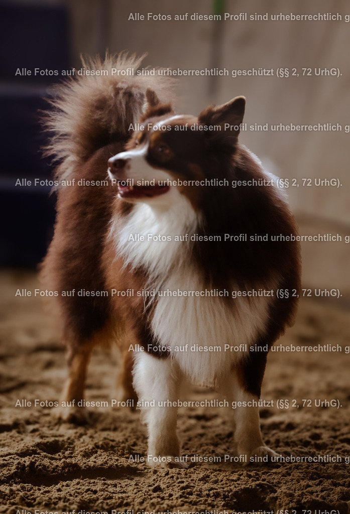 1P5A7520_2 | krollfotografie - Realisiert mit Pictrs.com