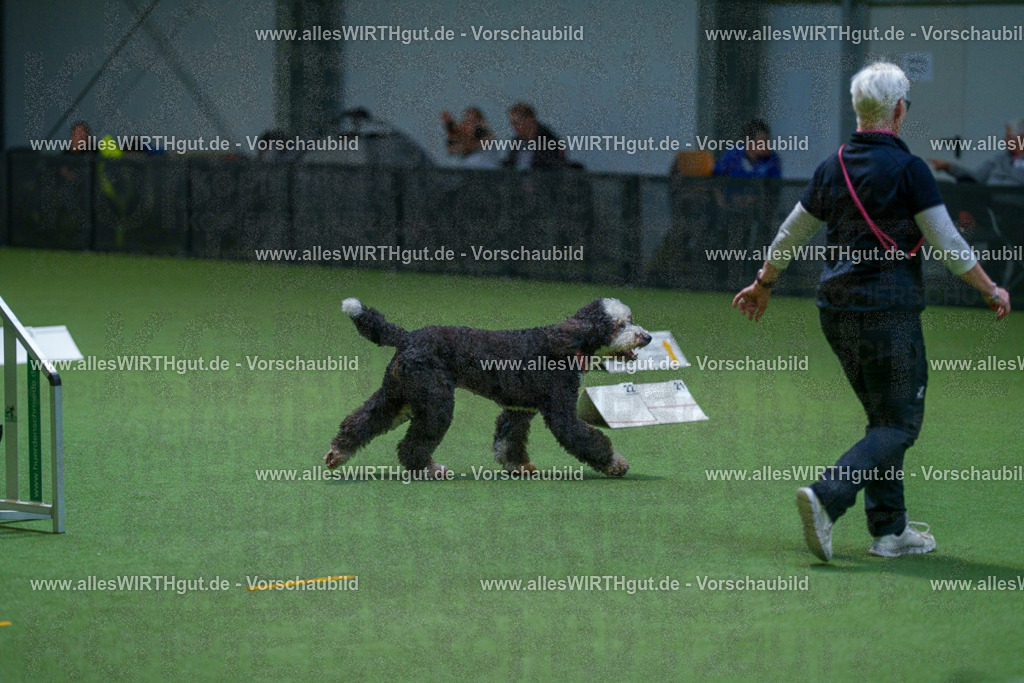 7R502672 | Professionelle Tierfotografie in Mönchengladbach von Daniel Wirth (allesWIRTHgut). Liebevolle & natürliche Bilder von Hunden & Katzen für unvergessliche Erinnerungen.