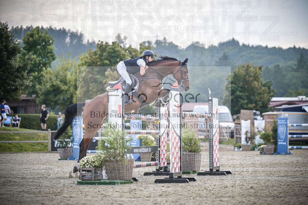 DOS_2994 | Entdecke hochwertige Reitturnierfotos von Foto Oger. Professionell, emotional und authentisch – jetzt Lieblingsmomente im Shop bestellen.Deutschlandweite Turnierfotografie. - Realisiert mit Pictrs.com