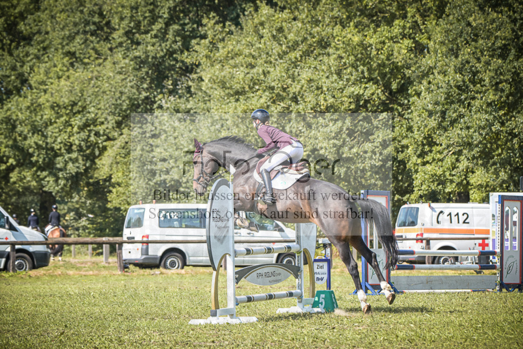 DOS_0137 | Entdecke hochwertige Reitturnierfotos von Foto Oger. Professionell, emotional und authentisch – jetzt Lieblingsmomente im Shop bestellen.Deutschlandweite Turnierfotografie. - Realisiert mit Pictrs.com