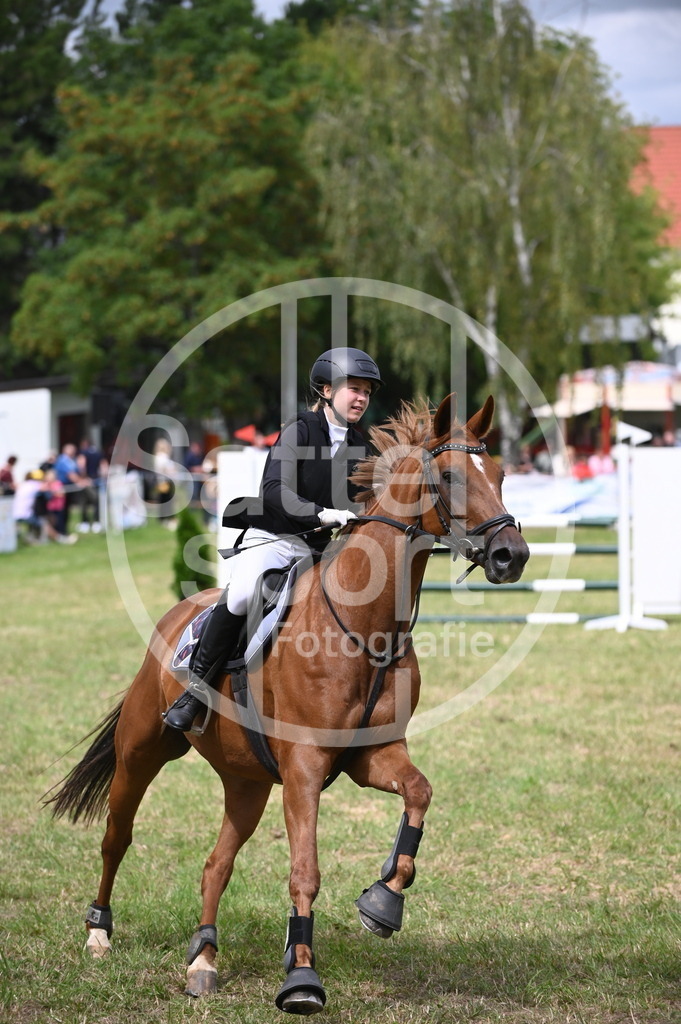 DSC_6381 | sattelsport - Realisiert mit Pictrs.com