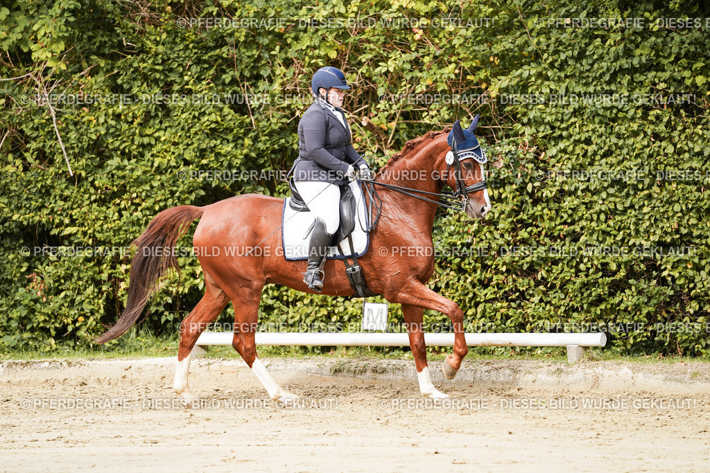 DSC02965 | Pferdegrafie