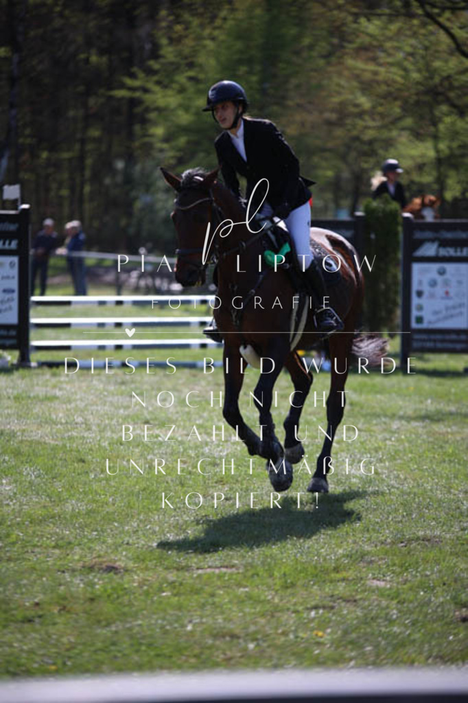 IMGT5779 | pl-fotografie