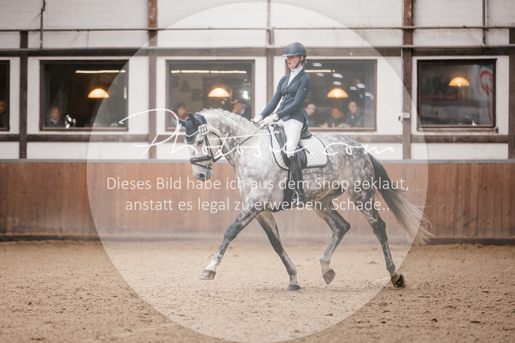 3I6A6817 | Stimmungsvolle Portraits und Reitsportfotografie im Ruhrgebiet und im Münsterland.

Pferdefotografie, Hundefotografie, Tierfotografie, Reportagen, Portraits von Tier und Mensch, Turnierfotografie in Bochum, Recklinghausen, Marl, Haltern am See, Dülmen.. - Realisiert mit Pictrs.com