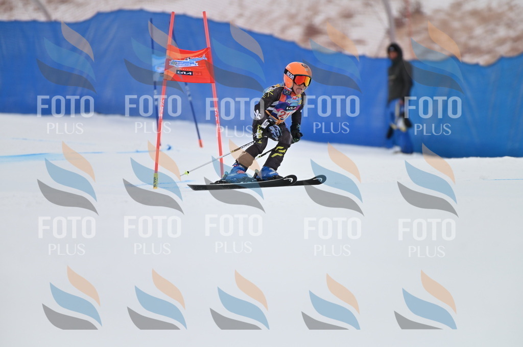 BGV_2432 | holidayphoto