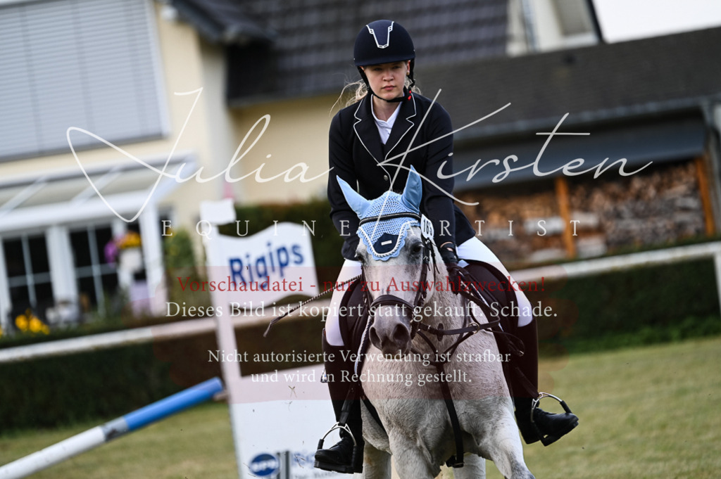 DSC_5537 | Pferde- und Turnierfotografie in Westsachsen. Pferdeportraits, Auftragszeichnungen und intuitive Kunst.