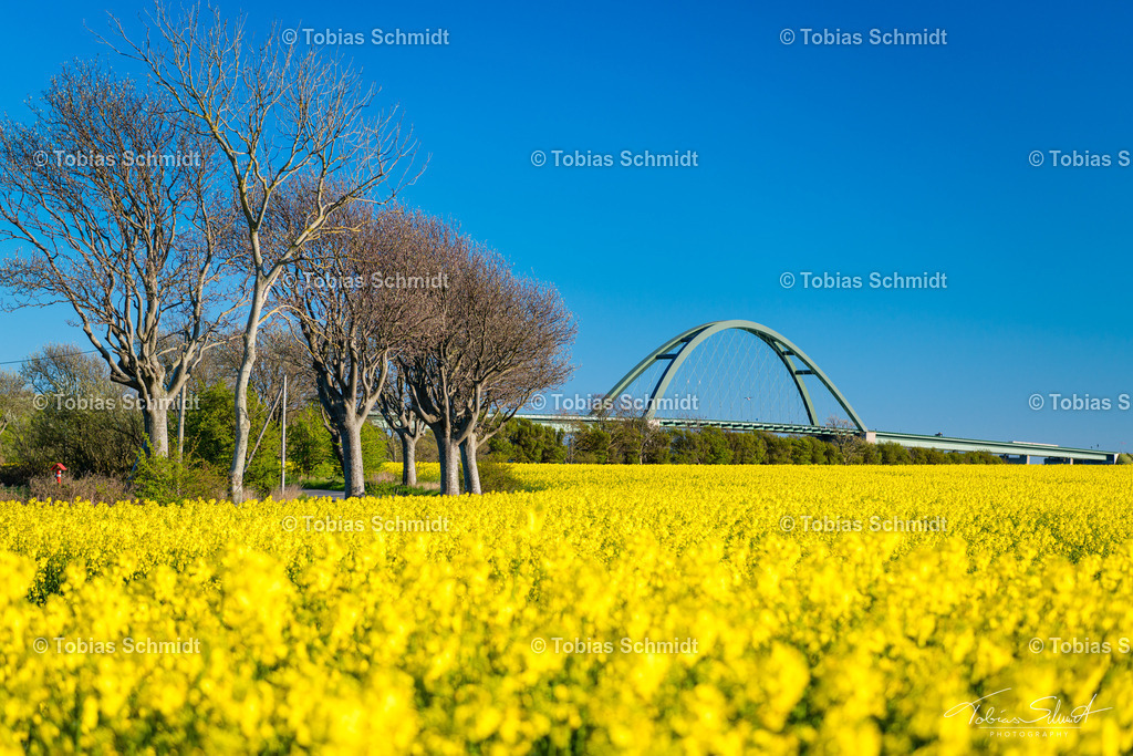 Fehmarn__DSC0233 | Fotoprodukte, Kalender und Wanddeko direkt vom Fotografen auf Fehmarn. Ob Wandbild auf Alu-Dibond, hinter Acrylglas oder auf Leinwand – hier können Sie Ihr Lieblingsbild kaufen. - Realisiert mit Pictrs.com
