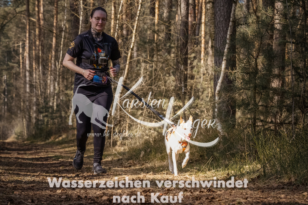 1206_ZZ92902-Bearbeitet | kk-dogfotos