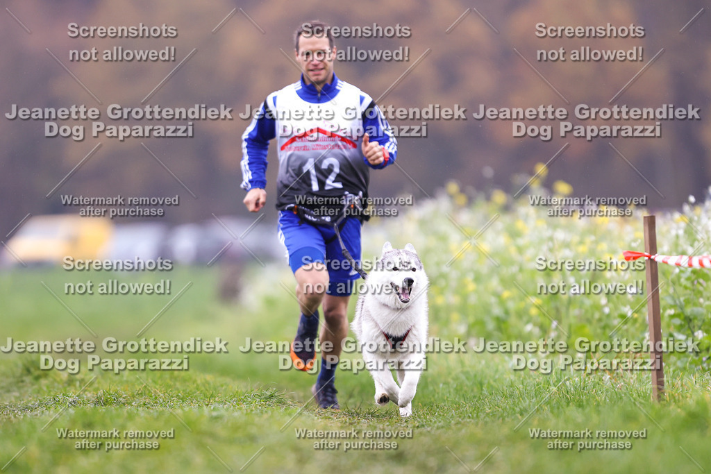 Dog Paparazzi - Visbeck 25 -793 | Dog Paparazzi Jeanette Grottendiek Fotografie & Videografie - Realisiert mit Pictrs.com