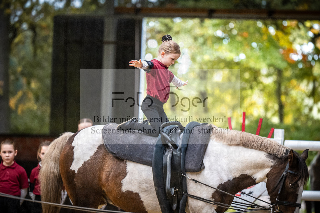 DOS_0206 | Entdecke hochwertige Reitturnierfotos von Foto Oger. Professionell, emotional und authentisch – jetzt Lieblingsmomente im Shop bestellen.Deutschlandweite Turnierfotografie. - Realisiert mit Pictrs.com