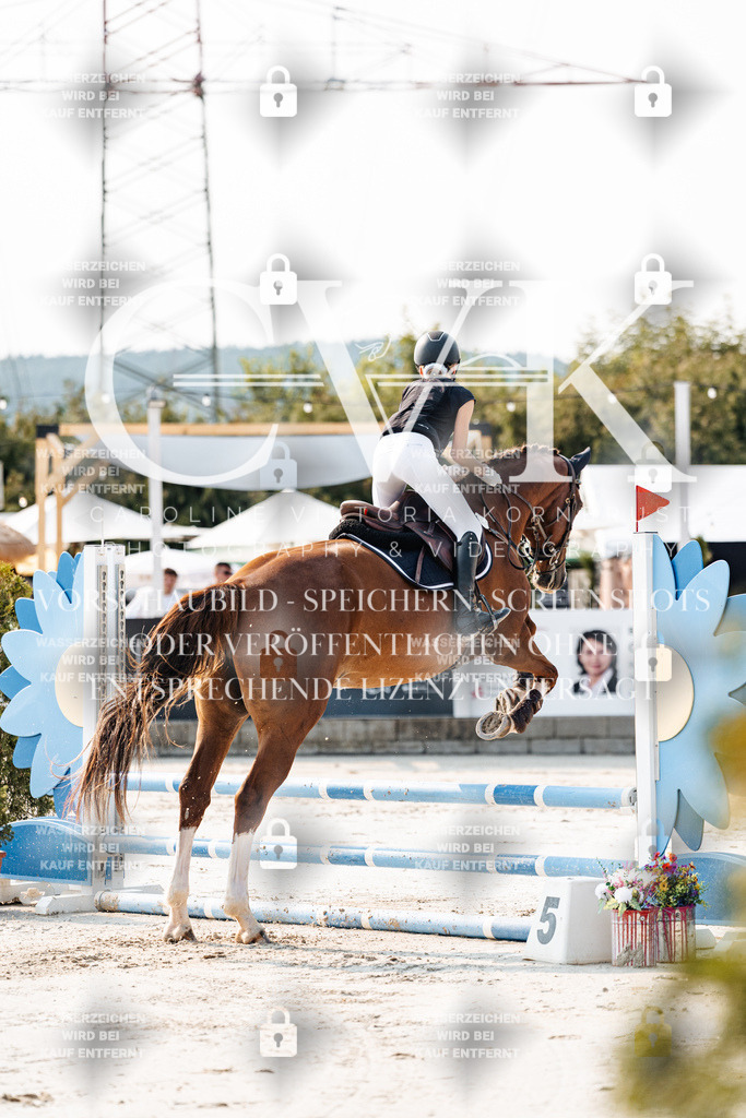 CK902764 | Turnierfotografie Pferdefotografie Trier Rheinland-Pfalz Pferdesport Reitsport Tierfotografie Sportfotografie Pferdevideo Pferdevideografie Equestrianvideography equestrianphotography  - Realisiert mit Pictrs.com