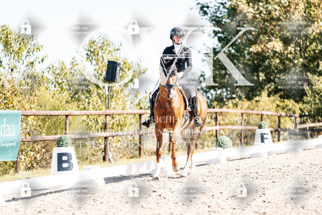 CK909170 | Turnierfotografie Pferdefotografie Trier Rheinland-Pfalz Pferdesport Reitsport Tierfotografie Sportfotografie Pferdevideo Pferdevideografie Equestrianvideography equestrianphotography  - Realisiert mit Pictrs.com