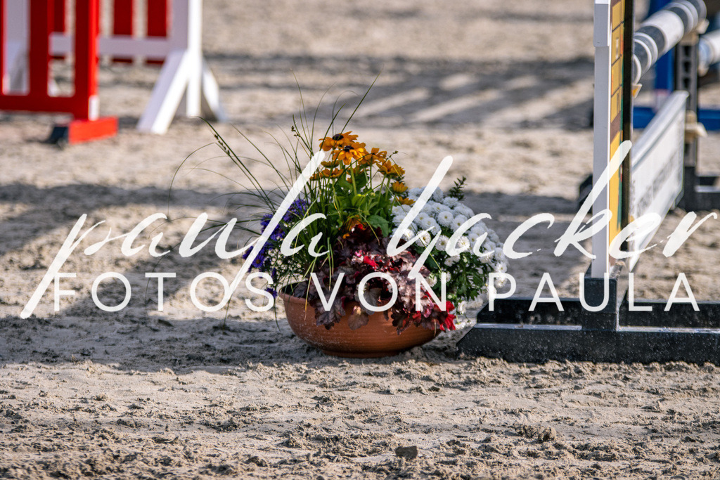 IMG_5749 | Erleben Sie dynamische Sport- und emotionale Tierfotografie in Süddeutschland mit Fotos von Paula. Spezialisiert auf Pferde- und Hundefotografie sowie Sportevents. Kontaktieren Sie mich für einzigartige und ausdrucksstarke Bilder Ihrer besonderen Momente. - Realisiert mit Pictrs.com