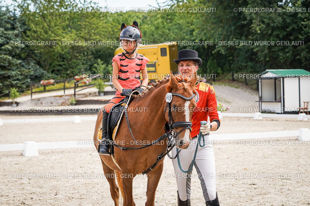 DSC03259 | Pferdegrafie