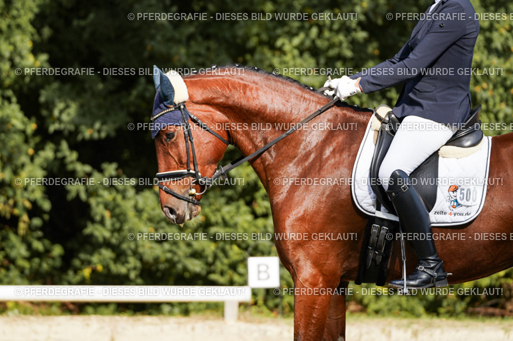 DSC07505 | Pferdegrafie