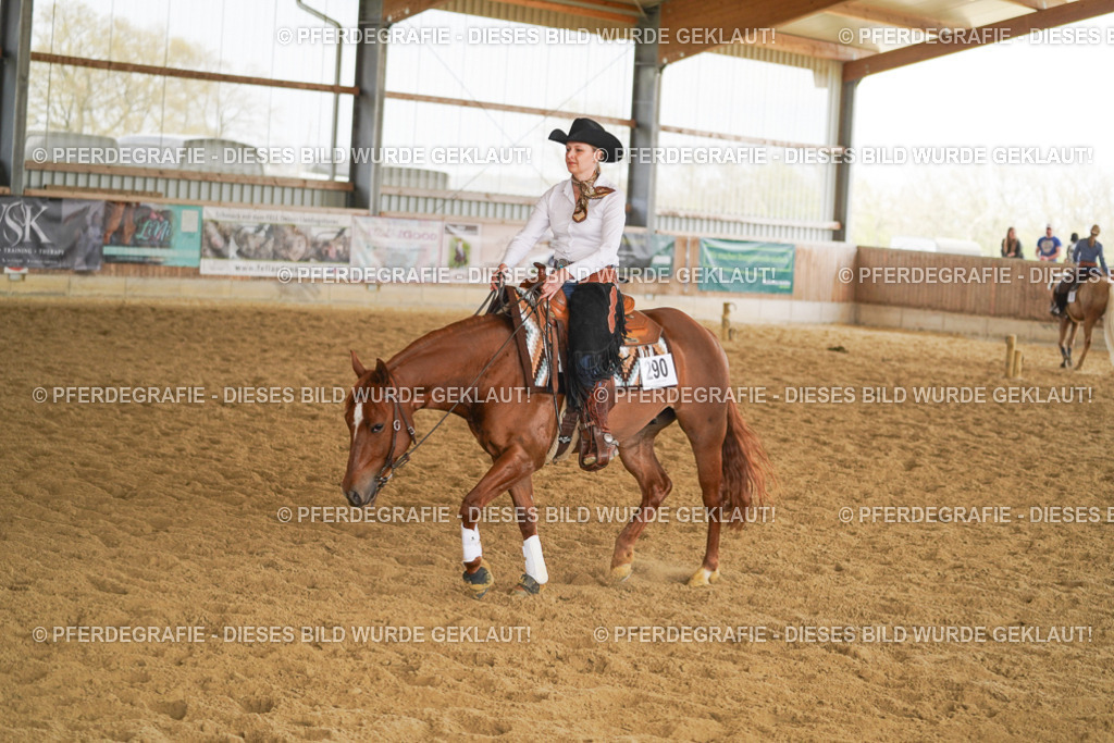 DSC05976 | Pferdegrafie