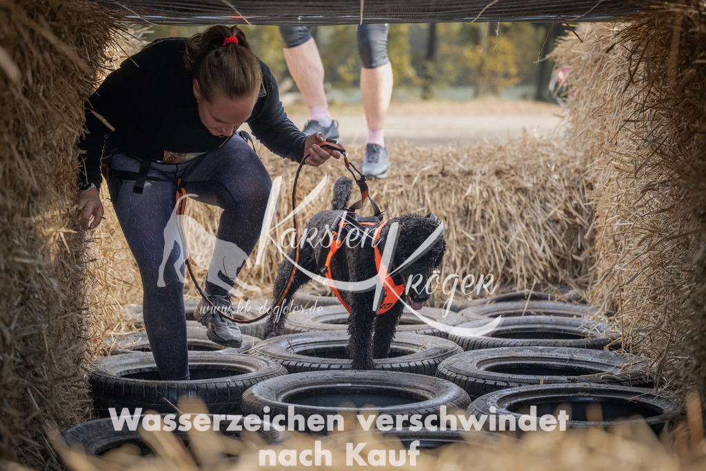 1043_ZZ99094 | kk-dogfotos