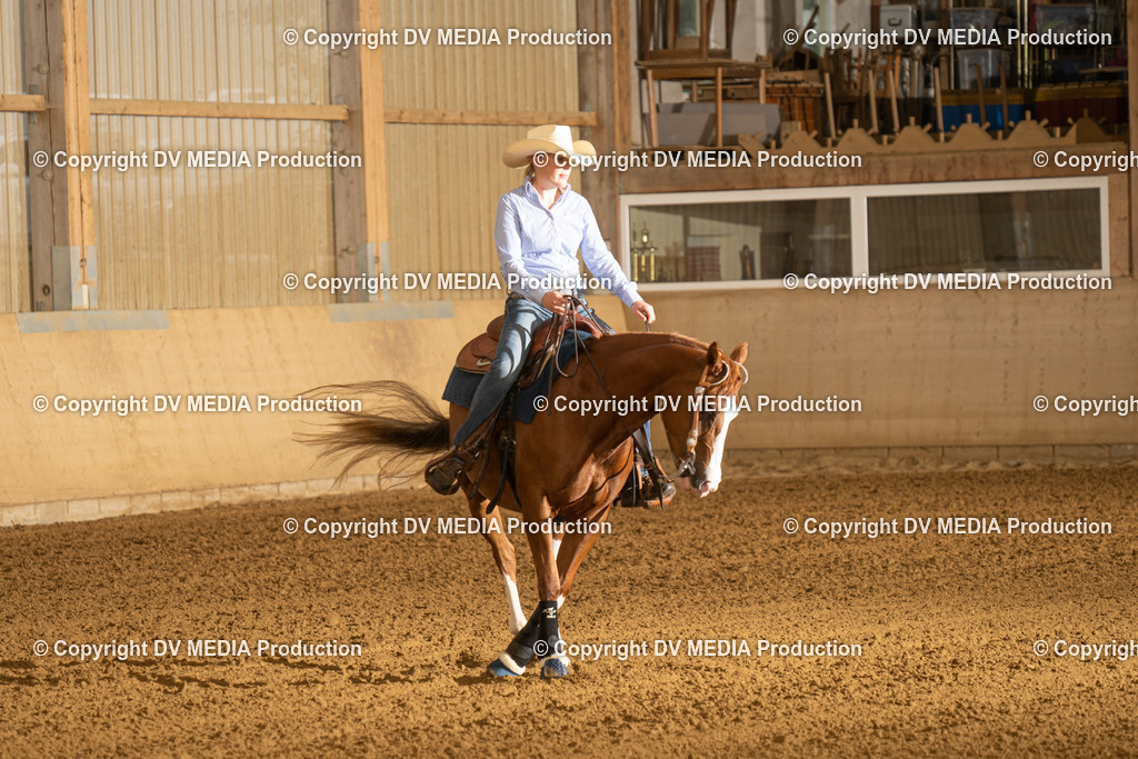 LAU00272 | dv-media-shop - Realisiert mit Pictrs.com