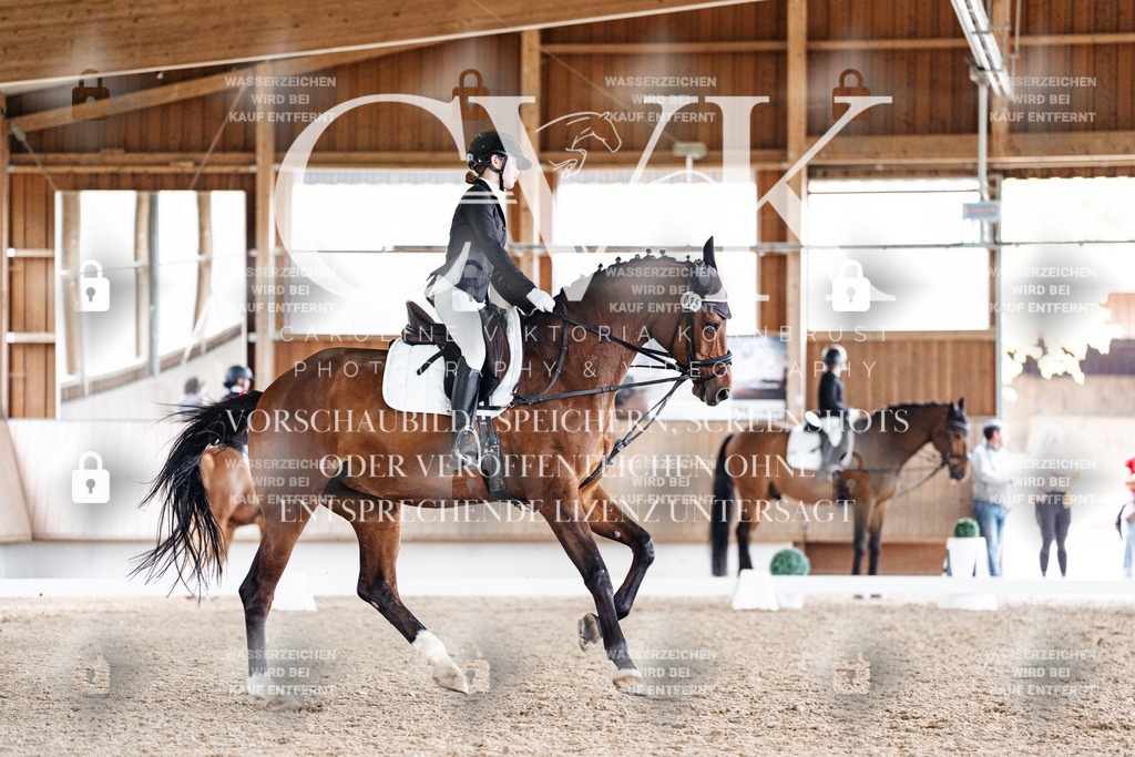CK900761 | Turnierfotografie Pferdefotografie Trier Rheinland-Pfalz Pferdesport Reitsport Tierfotografie Sportfotografie Pferdevideo Pferdevideografie Equestrianvideography equestrianphotography  - Realisiert mit Pictrs.com