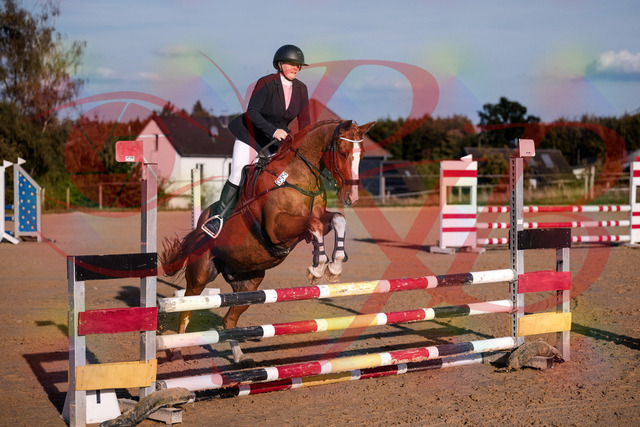 2026_10_03_Siefer-Hof_171707_Z81_14729096 | Professionelle Reitsport-, Turnier- und Eventfotografie von Robert Broda. Galerien mit ausgewählten und bearbeiteten Bildern direkt online ansehen und bestellen.