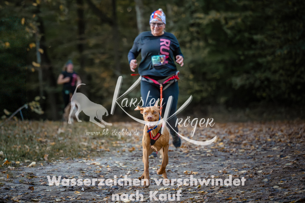 0807_ZZ93773 | kk-dogfotos