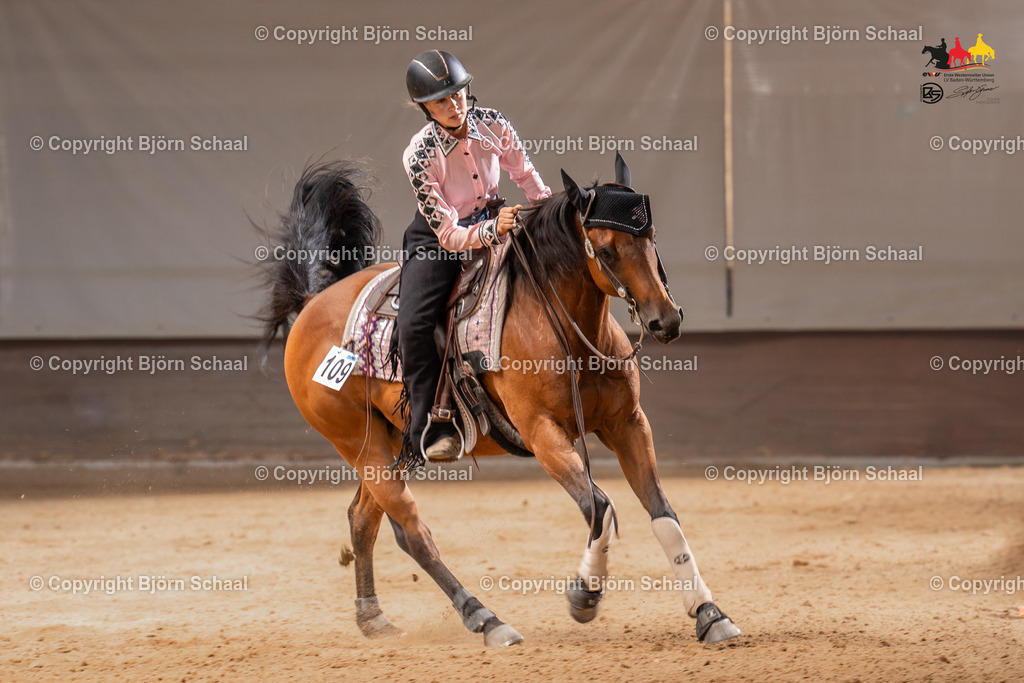 LMS06216 | BS-foto