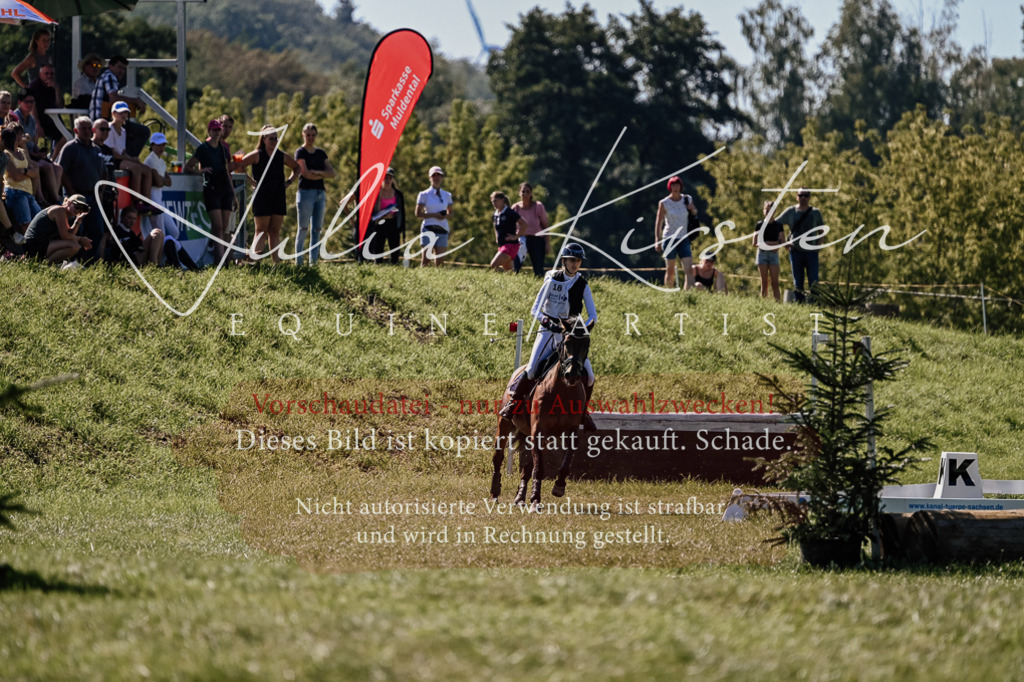 DSC_1298 | Pferde- und Turnierfotografie in Westsachsen. Pferdeportraits, Auftragszeichnungen und intuitive Kunst.