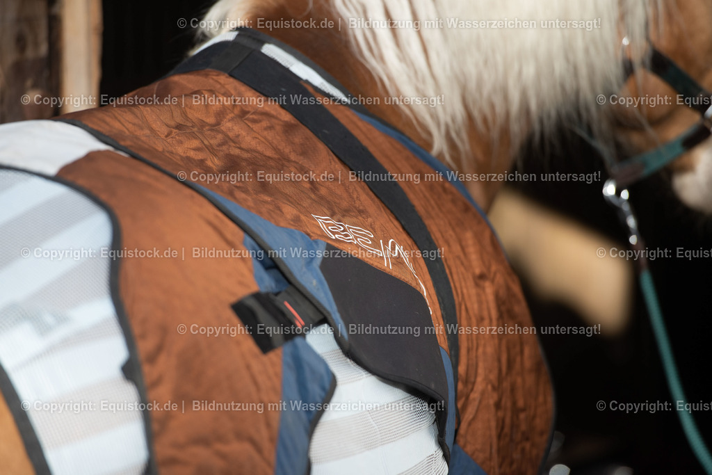 20200928_Bemer_Decke_0006 | equistock