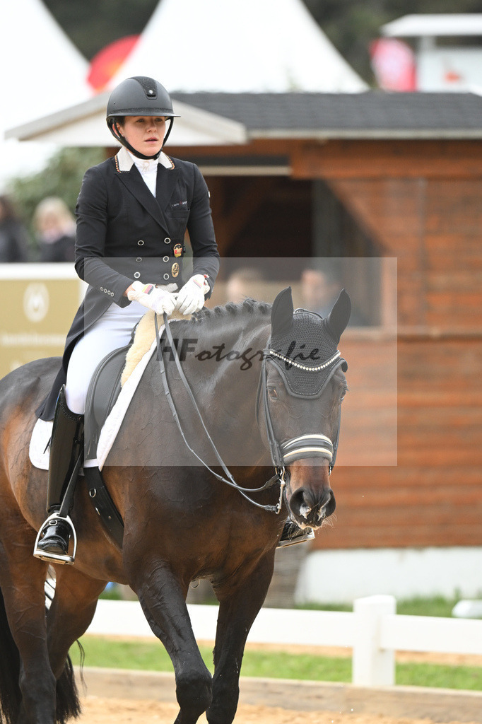 Abbelen_Sam Donnerhall_11232422 | hf-fotografie - Realisiert mit Pictrs.com