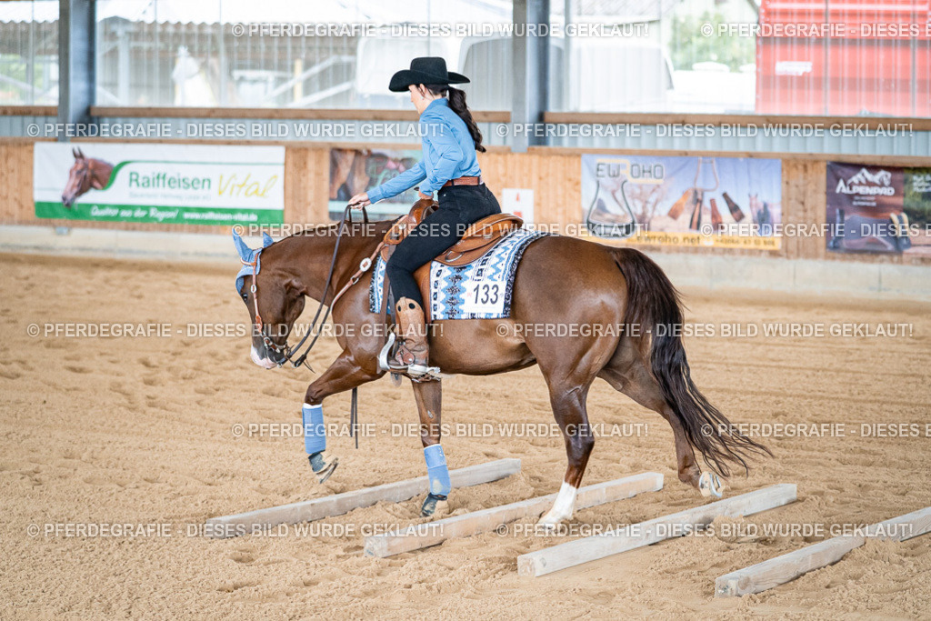 DSC08591 | Pferdegrafie