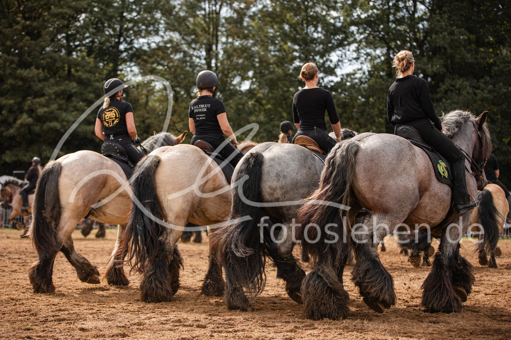 846A4022 | fotosleben - Realisiert mit Pictrs.com