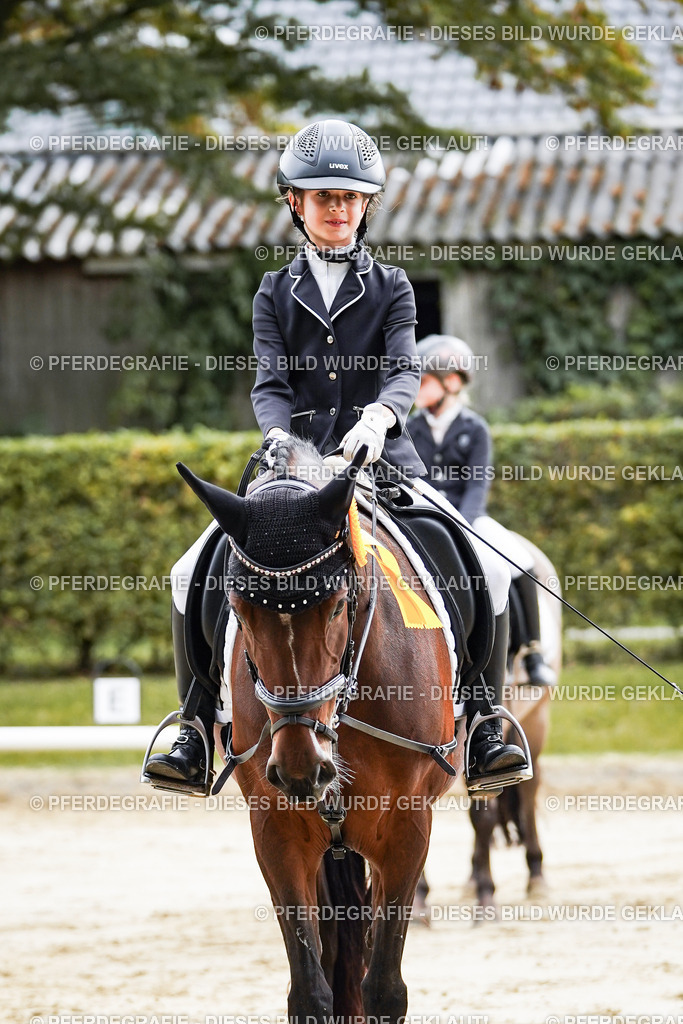 DSC05723 | Pferdegrafie