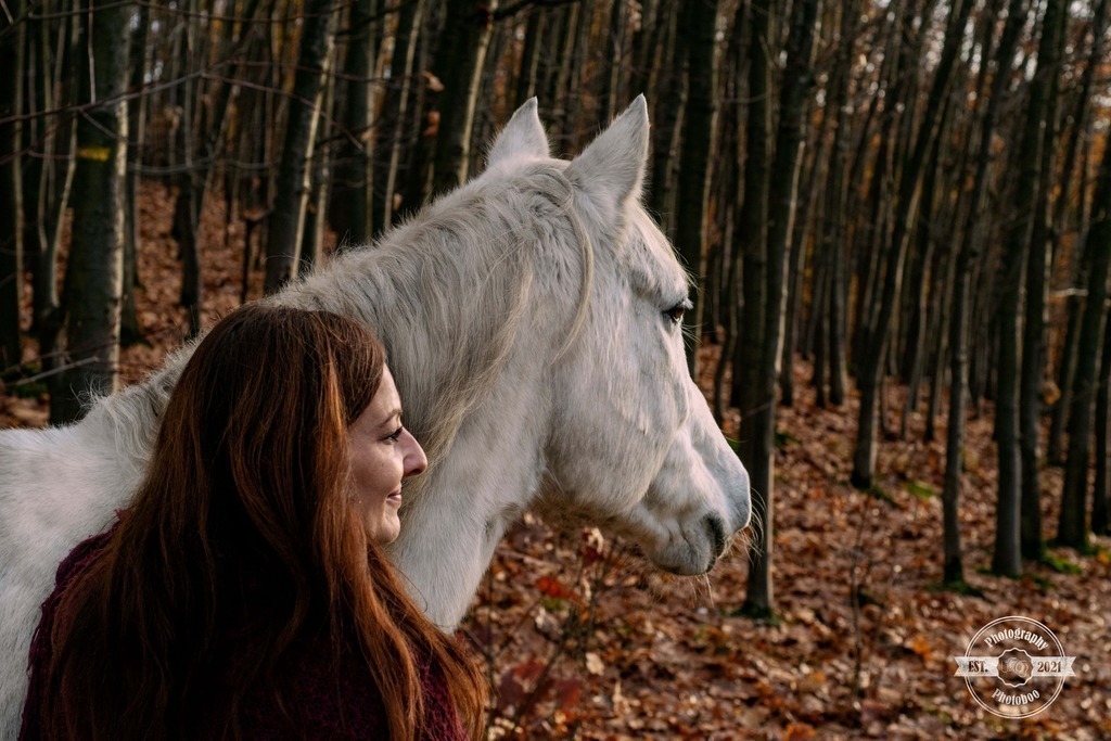 Lieblingsbilder_Photoboo_58 | Pferde- und Hundefotografie in Köln und Umgebung von Vanessza Csuka - Realisiert mit Pictrs.com