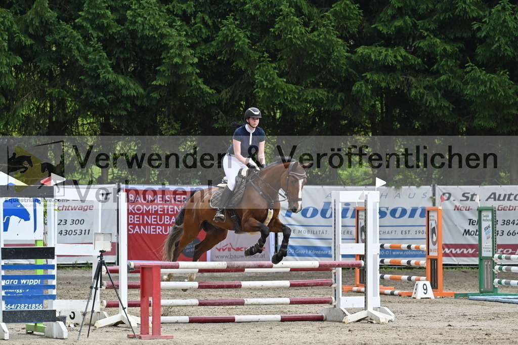 DSC_4620 | equestrian-live-com