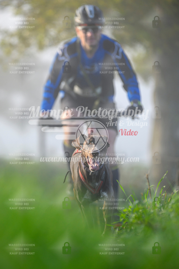 MompixPhotography_20TSB_E3_Bike-92 | PayLife