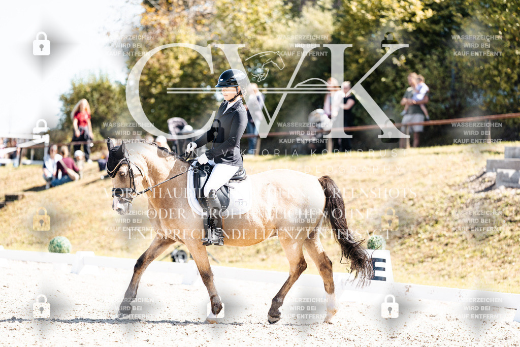 CK903806 | Turnierfotografie Pferdefotografie Trier Rheinland-Pfalz Pferdesport Reitsport Tierfotografie Sportfotografie Pferdevideo Pferdevideografie Equestrianvideography equestrianphotography  - Realisiert mit Pictrs.com