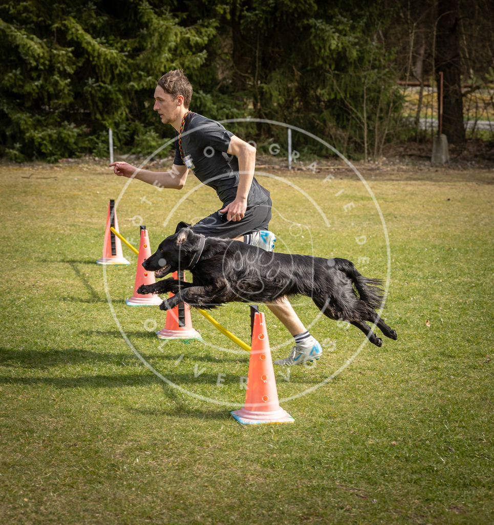 Pfotenfotografie_DV3A9357 | Hundefotografie, Tierfotograf, Pfotenfotografie, Fotoshooting Hund, Hunde Portrait, Hundesport, Hundeportraits, Heideshooting, Hunde, Sportfotograf, Hundefotograf, Turnierhundsport, THS,  - Realisiert mit Pictrs.com