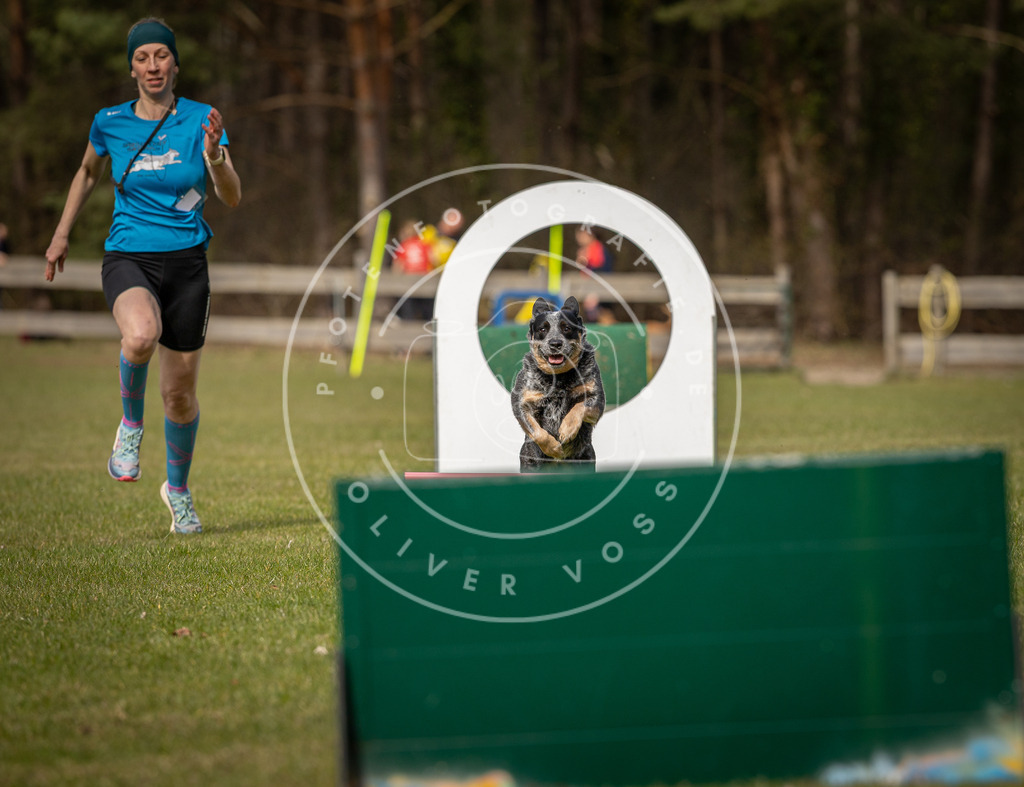 Pfotenfotografie_DV3A8583 | Hundefotografie, Tierfotograf, Pfotenfotografie, Fotoshooting Hund, Hunde Portrait, Hundesport, Hundeportraits, Heideshooting, Hunde, Sportfotograf, Hundefotograf, Turnierhundsport, THS,  - Realisiert mit Pictrs.com