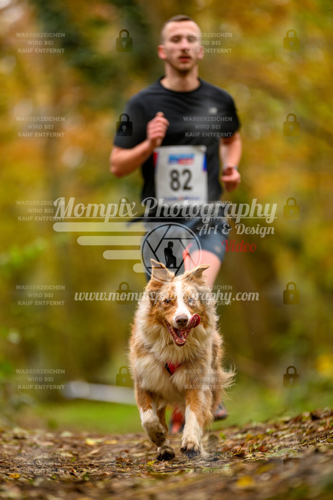 MompixPhotography_Bischwiller24_SA_Canicross-122 | PayLife